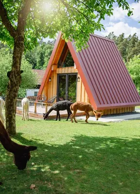Ein Garten an der Unterkunft Pirker Anden Chalet