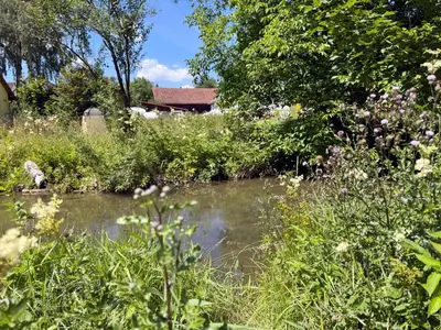 Naturlandschaft in der Nähe des Ferienhauses