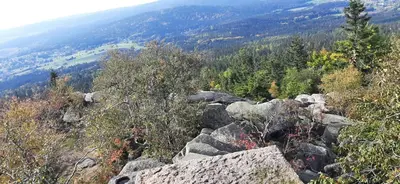 Naturlandschaft in der Nähe der Ferienwohnung