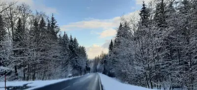 Ferienwohnung Fichtelgebirge im Winter