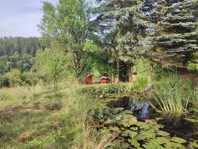 Naturlandschaft in der Nähe der Ferienwohnung