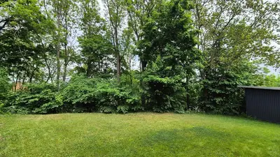 Ein Garten an der Unterkunft EssenzApartment Hof, 24h Checkin, Parkplatz, WLan300Mbit