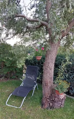 Ein Garten an der Unterkunft Wohnung in Selbitz