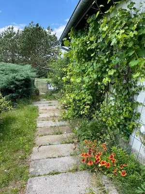 Ein Garten an der Unterkunft Landhaus am Regen - Natur, Ruhig