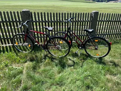 Radfahren an der Unterkunft Landhaus am Regen - Natur, Ruhig oder in der Nähe