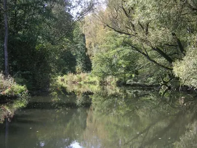 Naturlandschaft in der Nähe der Ferienwohnung