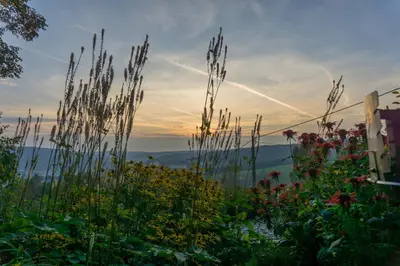 Naturlandschaft in der Nähe der Ferienwohnung