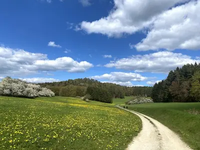 Naturlandschaft in der Nähe der Ferienwohnung