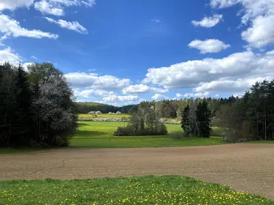 Naturlandschaft in der Nähe der Ferienwohnung