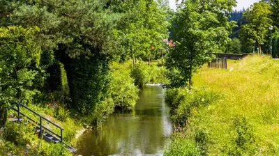Naturlandschaft in der Nähe der Ferienwohnung