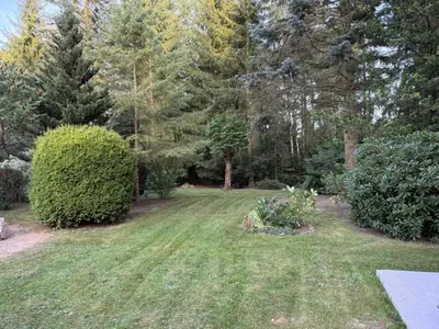 Ein Garten an der Unterkunft Ferienhaus im Grünen - Entspannen mit Alpakas