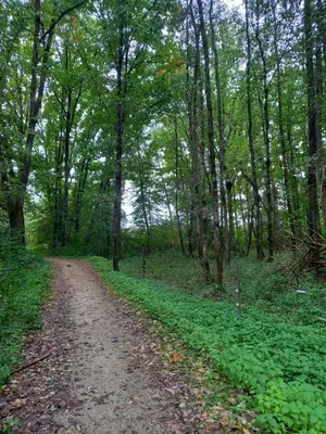 Naturlandschaft in der Nähe der Ferienwohnung