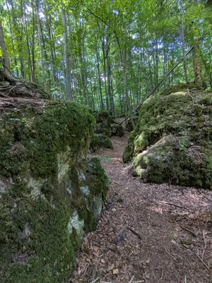 Naturlandschaft in der Nähe der Ferienwohnung