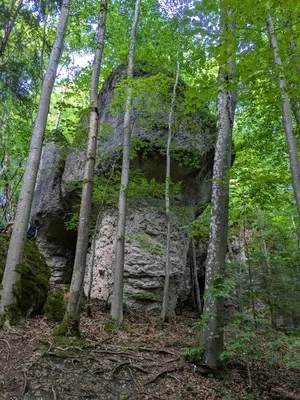 Naturlandschaft in der Nähe der Ferienwohnung