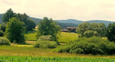 Naturlandschaft in der Nähe des Ferienhauses