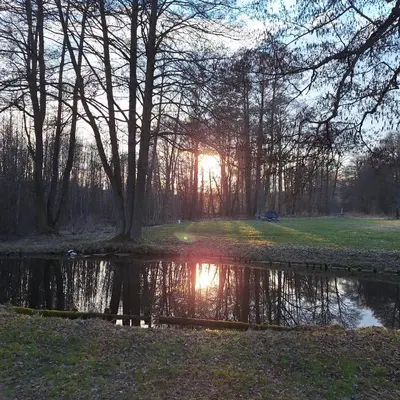 Naturlandschaft in der Nähe der Pension