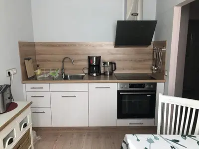 Küche/Küchenzeile in der Unterkunft Apartment Am Gondelteich