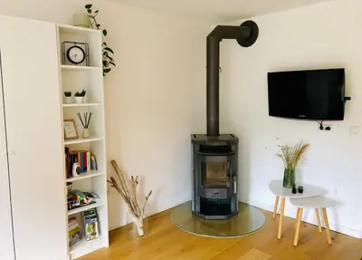 TV/Unterhaltungsangebot in der Unterkunft Idyllische Ferienwohnung bei Weißenstadt am See