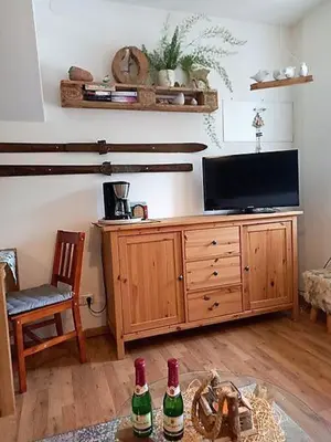 TV/Unterhaltungsangebot in der Unterkunft 2-Personen-Apartment
