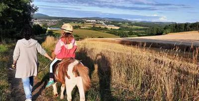 Tiere in diesem Bauernhof oder in der Nähe