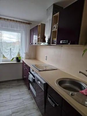 Küche/Küchenzeile in der Unterkunft Ferienwohnung Krysanovsk
