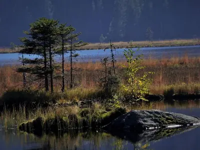 Naturlandschaft in der Nähe des Ferienhauses