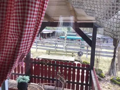 Ein Garten an der Unterkunft Wohnen in einer kleinen Wohnoase