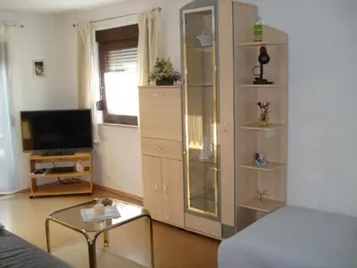 TV/Unterhaltungsangebot in der Unterkunft Apartment Haus Steinwaldblick by Interhome