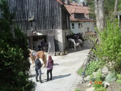 Tiere in der Ferienwohnung oder in der Nähe