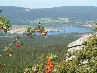 Naturlandschaft in der Nähe der Ferienwohnung