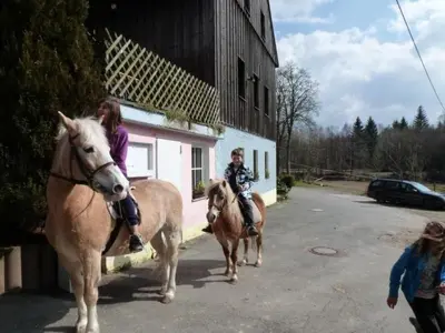 Tiere in der Ferienwohnung oder in der Nähe