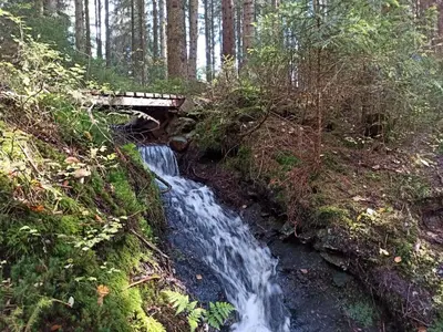 Naturlandschaft in der Nähe der Ferienwohnung
