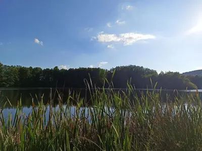 Naturlandschaft in der Nähe der Ferienwohnung