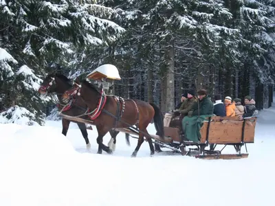 Gäste, die in der Unterkunft Holiday Home Vogtlandresidenz by Interhome übernachten