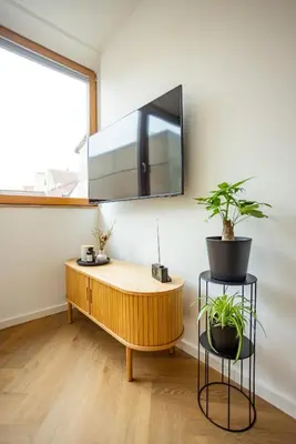 TV/Unterhaltungsangebot in der Unterkunft Fidelios Altstadt Appartements