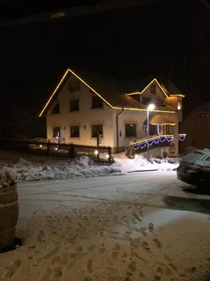 Hotel Alpenhof im Winter