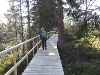 Naturlandschaft in der Nähe der Ferienwohnung