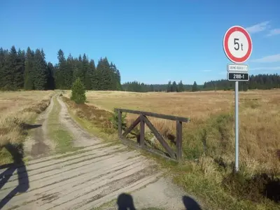 Naturlandschaft in der Nähe der Ferienwohnung