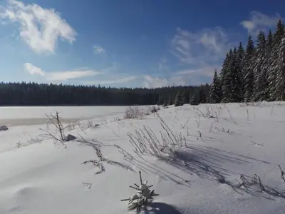 Apartment Fewo Am Skihang OG by Interhome im Winter