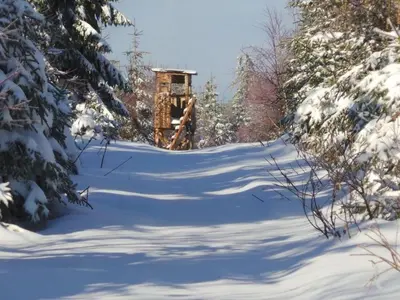 Apartment Fewo Am Skihang OG by Interhome im Winter