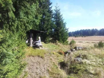 Naturlandschaft in der Nähe der Ferienwohnung