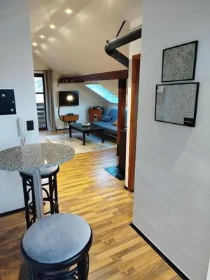 TV/Unterhaltungsangebot in der Unterkunft Altstadt Appartement Luka