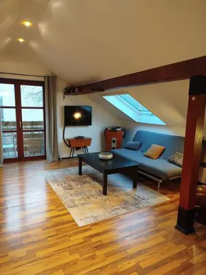 TV/Unterhaltungsangebot in der Unterkunft Altstadt Appartement Luka
