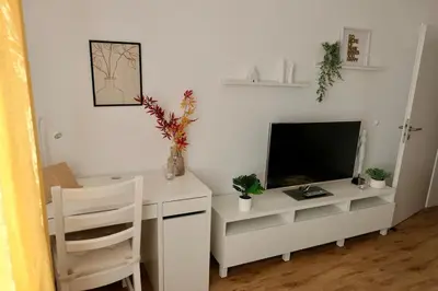 TV/Unterhaltungsangebot in der Unterkunft Frisch renovierte Privatunterkunft in Kulmbach
