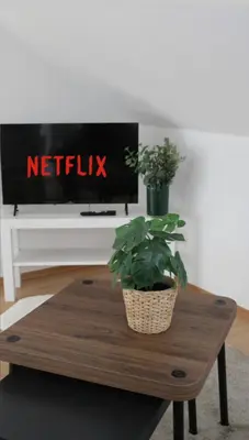 TV/Unterhaltungsangebot in der Unterkunft GlückAufBud Schwarzenberg WLAN Netflix Stellplatz