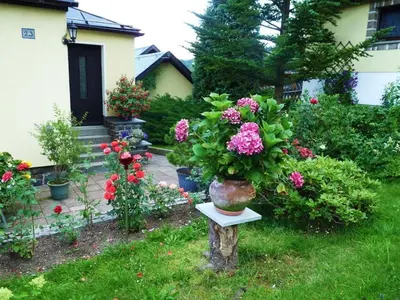 Ein Garten an der Unterkunft Holiday apartment with 2 bedrooms
