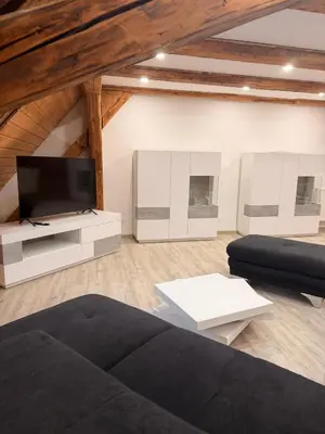 TV/Unterhaltungsangebot in der Unterkunft Zentrale Erbendorfer Studiowohnung
