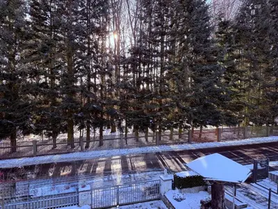 Fichtenblick im Winter