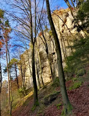 Naturlandschaft in der Nähe des Ferienhauses