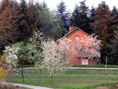 Ein Garten an der Unterkunft Haus Hollerbusch